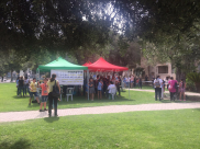 بالصور: خيمة اعتصام أمام بلدية الرملة احتجاجاً على تقليص ميزانيات المدارس الاهلية